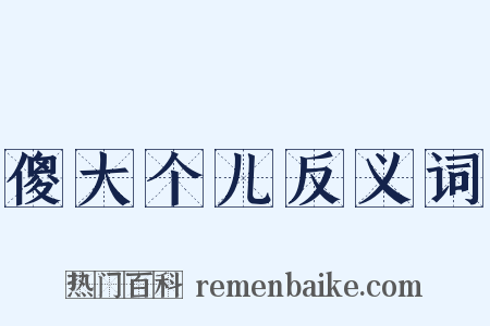 傻大个儿反义词是什么意思的图片